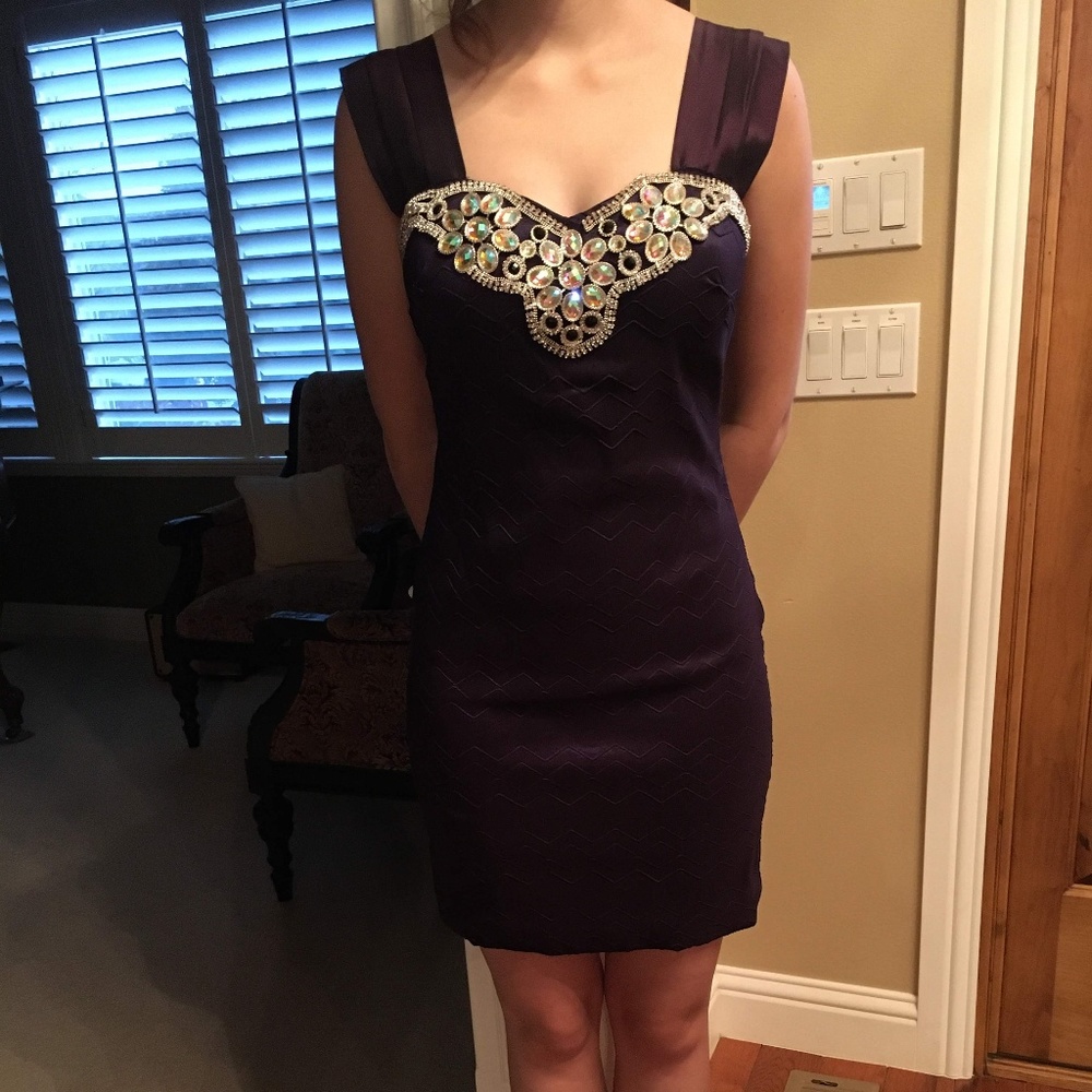 Daisy Dark Purple Dress